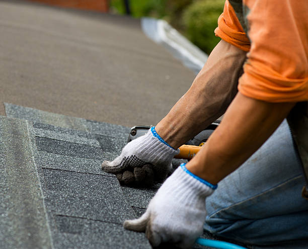 Best Shingle Roofing Installation  in Fanwood, NJ